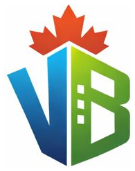 Vision Build logo